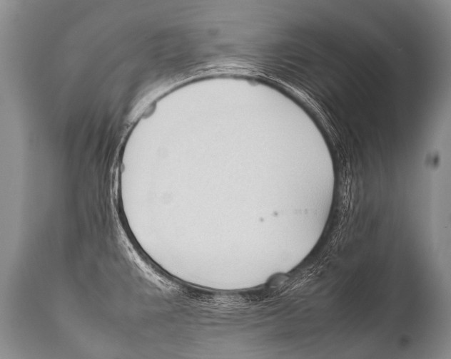 X0000111951383200908241154