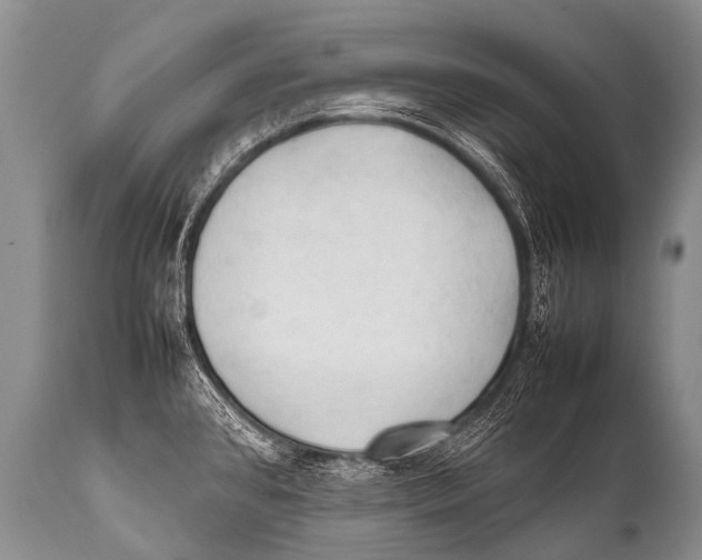 X0000111951384200908241154