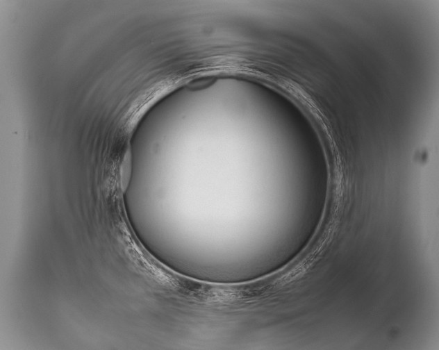 X0000111951385200908241154