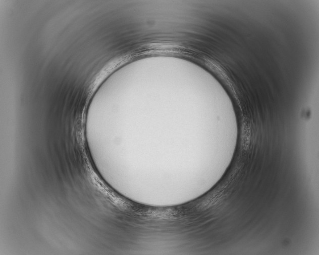 X0000111951386200908241154