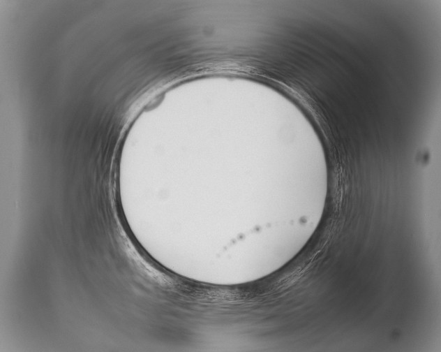 X0000111951387200908241154
