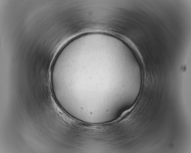 X0000111951388200908241154