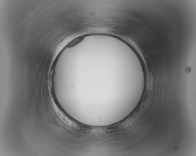 X0000111951389200908241154