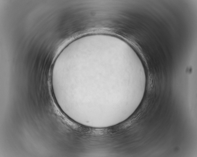 X0000111951390200908241154