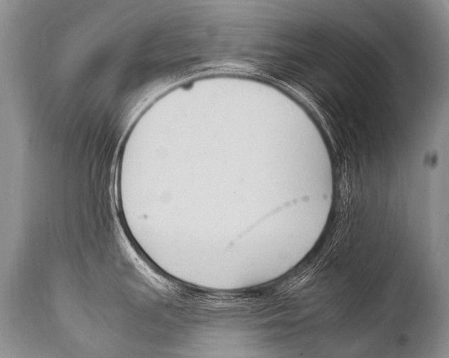X0000111951391200908241154