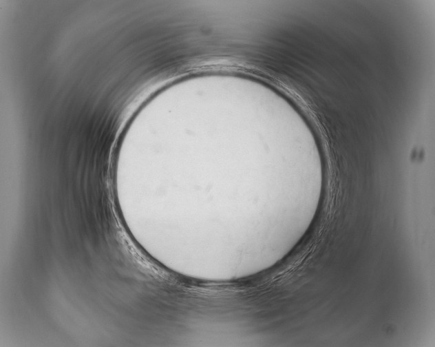 X0000111951392200908241154