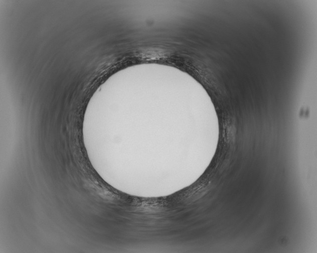X0000111951393200908241153