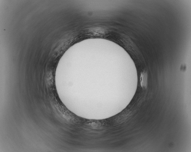 X0000111951395200908241153