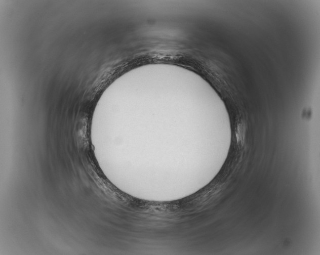 X0000111951396200908241153