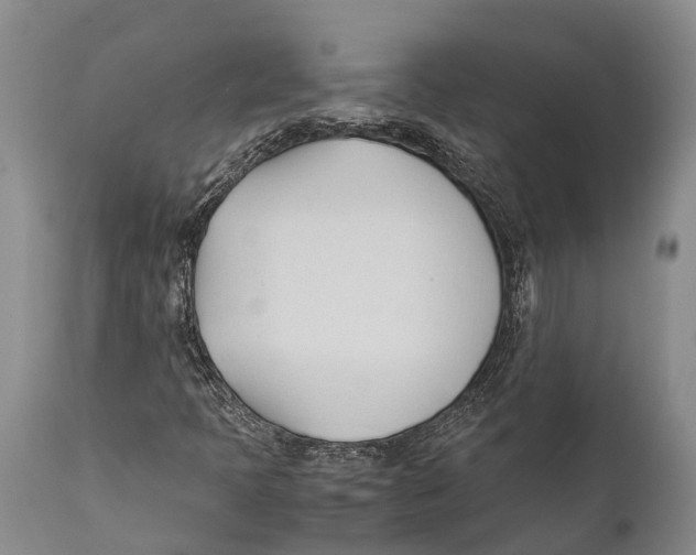 X0000111951397200908241153