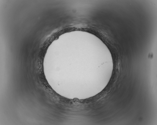 X0000111951398200908241153