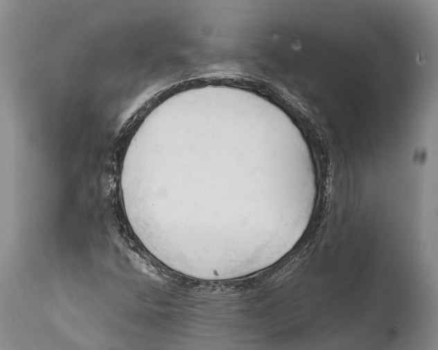 X0000111951400200908241153