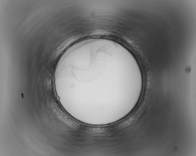 X0000111951401200908241153