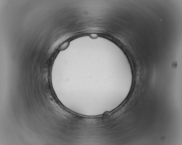 X0000111951402200908241153