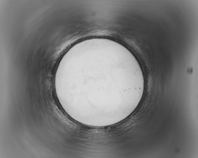 X0000111951404200908241153
