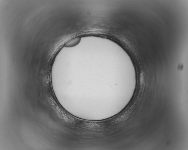 X0000111951405200908241153