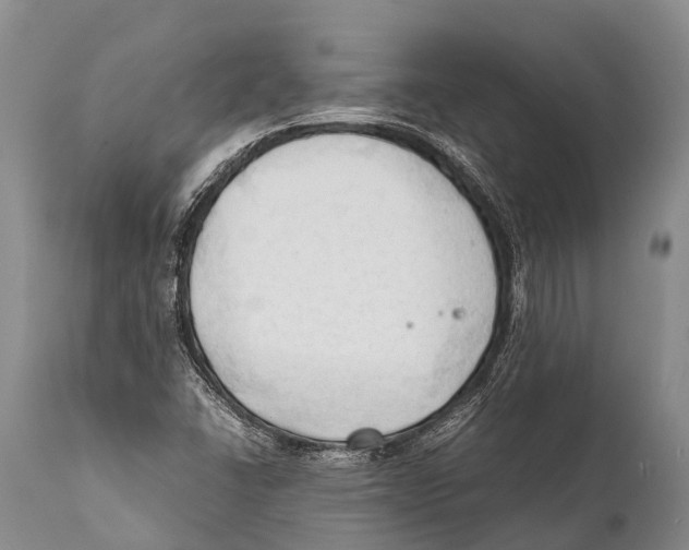 X0000111951406200908241153