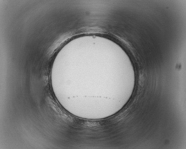X0000111951407200908241153