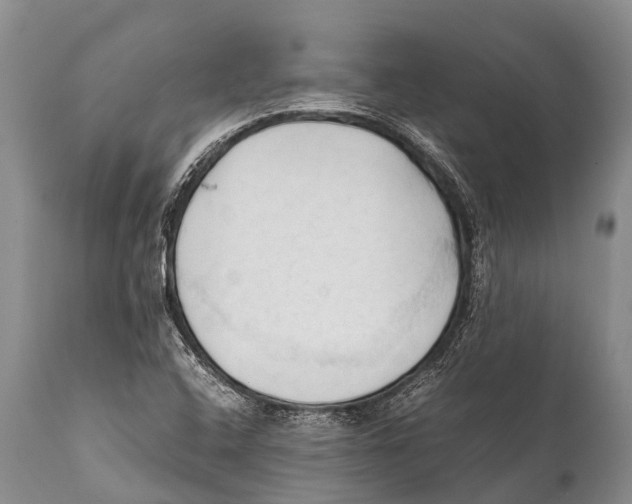 X0000111951408200908241153