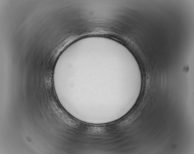 X0000111951409200908241153