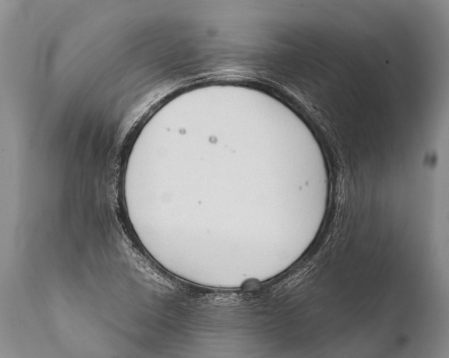 X0000111951410200908241153