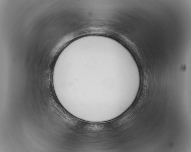 X0000111951411200908241153