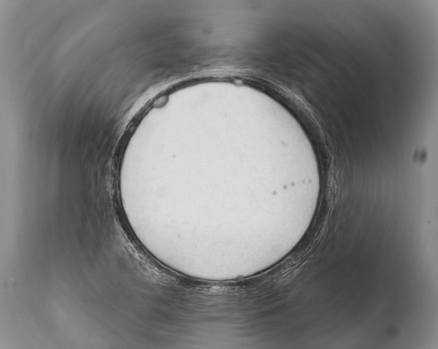 X0000111951412200908241153