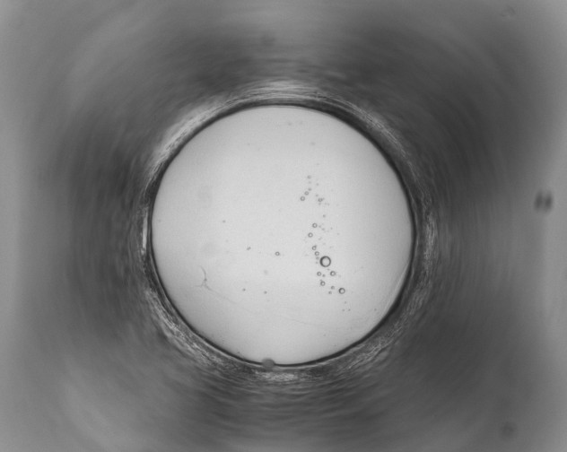 X0000111951413200908241153