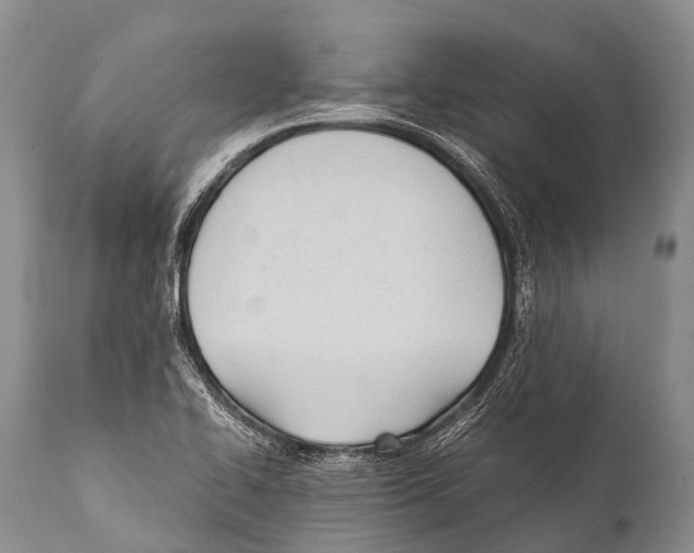 X0000111951414200908241153