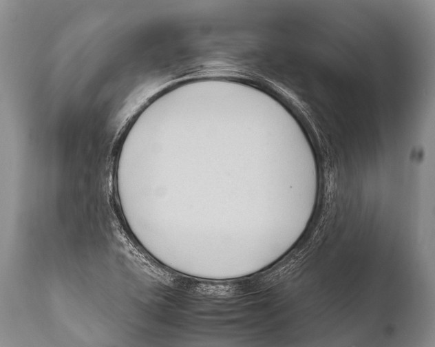 X0000111951415200908241153