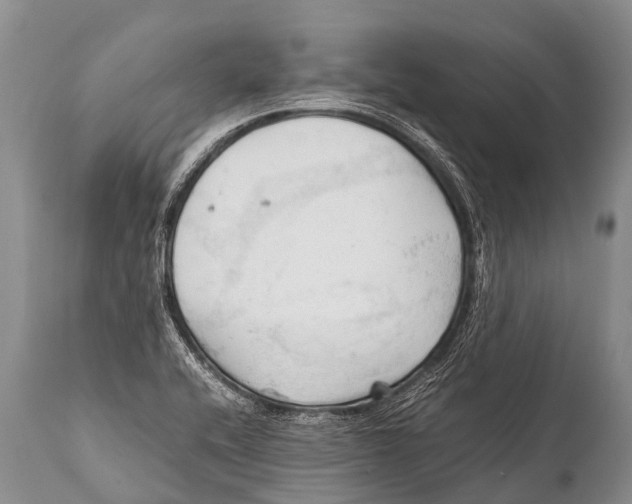 X0000111951416200908241153