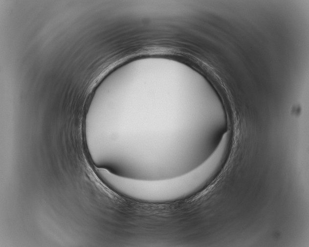X0000111951417200908241153