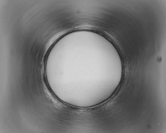 X0000111951418200908241153