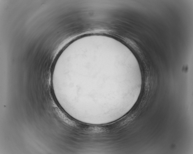 X0000111951420200908241154