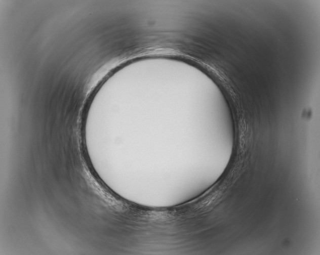 X0000111951422200908241154