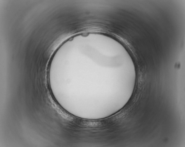 X0000111951423200908241154