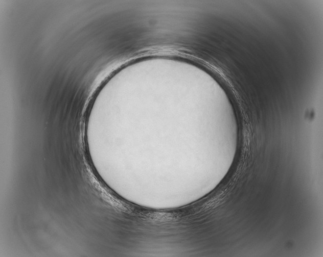 X0000111951424200908241154