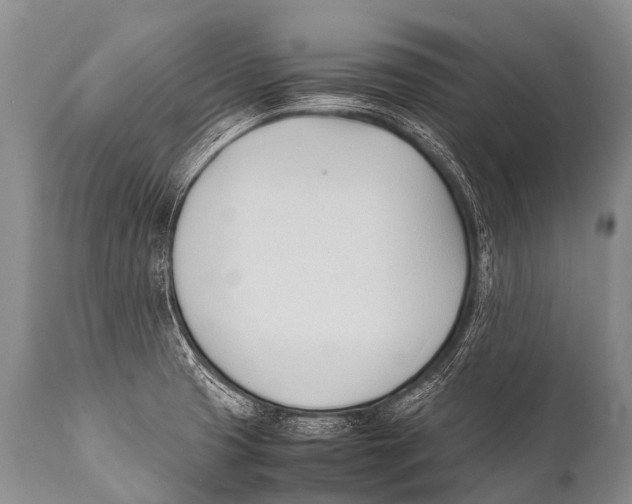 X0000111951425200908241154