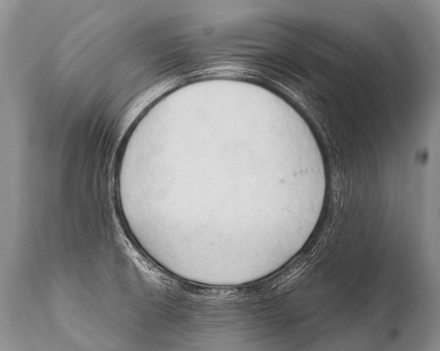 X0000111951426200908241154