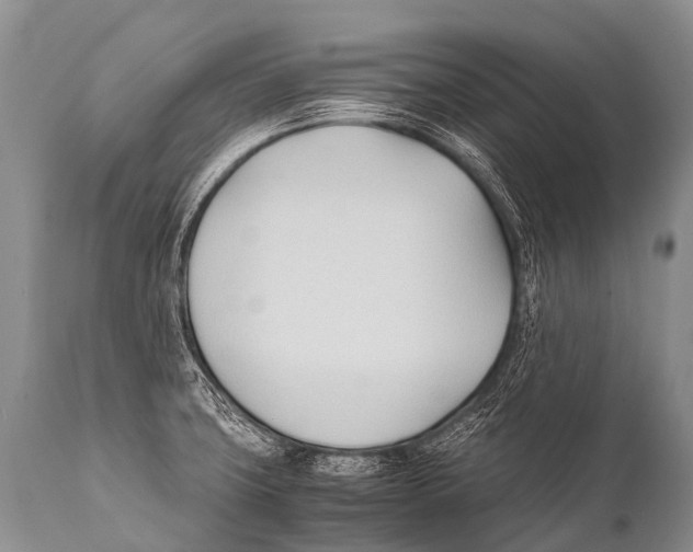 X0000111951427200908241154