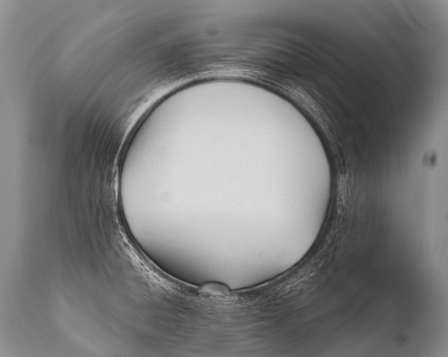 X0000111951428200908241154