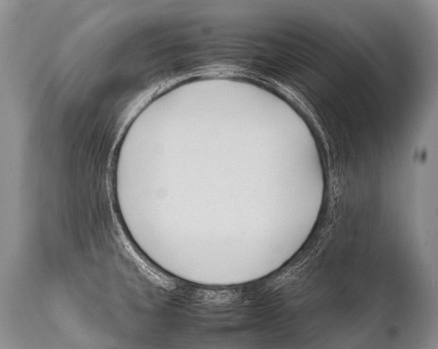 X0000111951429200908241154