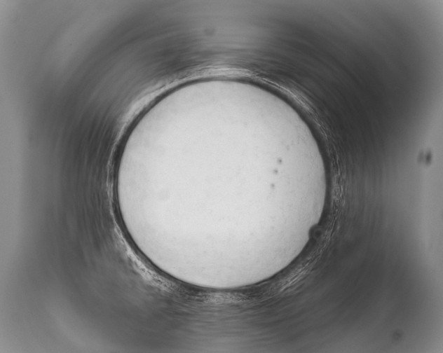 X0000111951430200908241154