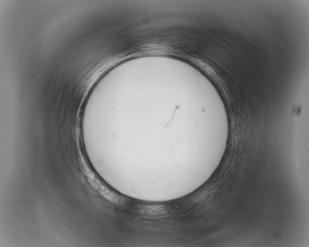 X0000111951431200908241154