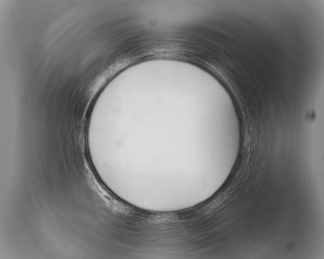 X0000111951434200908241154