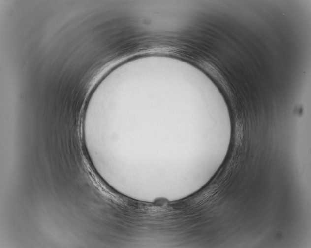 X0000111951436200908241154