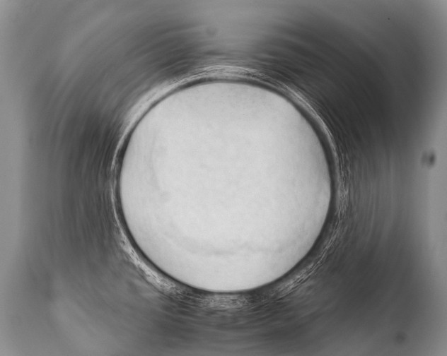 X0000111951437200908241154