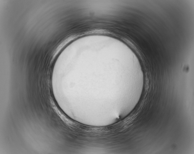 X0000111951438200908241154