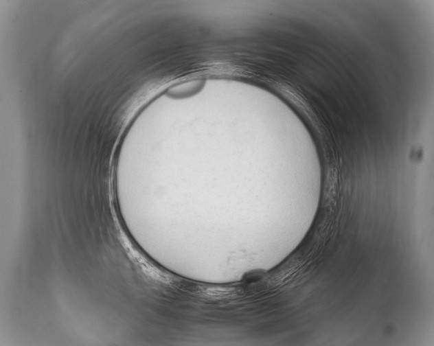 X0000111951439200908241154