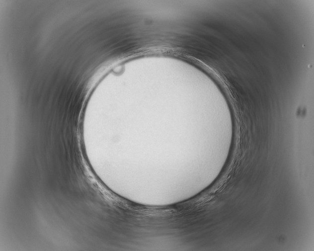 X0000111951440200908241154
